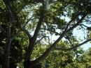 dsc00542