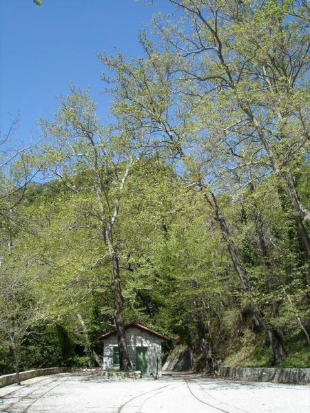 dsc04419