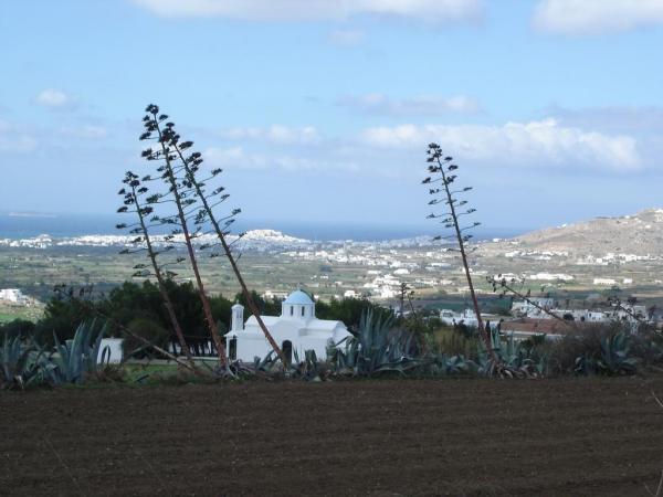 dsc06906